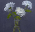 White Flowers