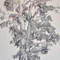 Figures1