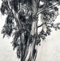 Figures1