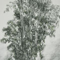 Figures1